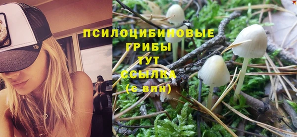 а пвп мука Арсеньев