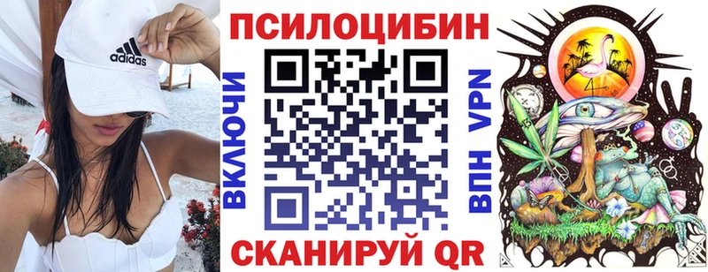 купить наркоту  Северская  Псилоцибиновые грибы Magic Shrooms 
