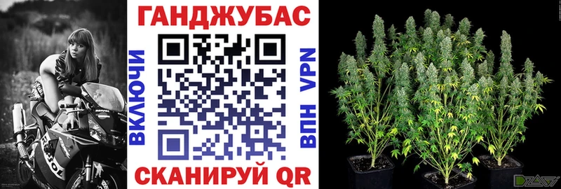 Бошки Шишки MAZAR  даркнет сайт  мега вход  Северская 
